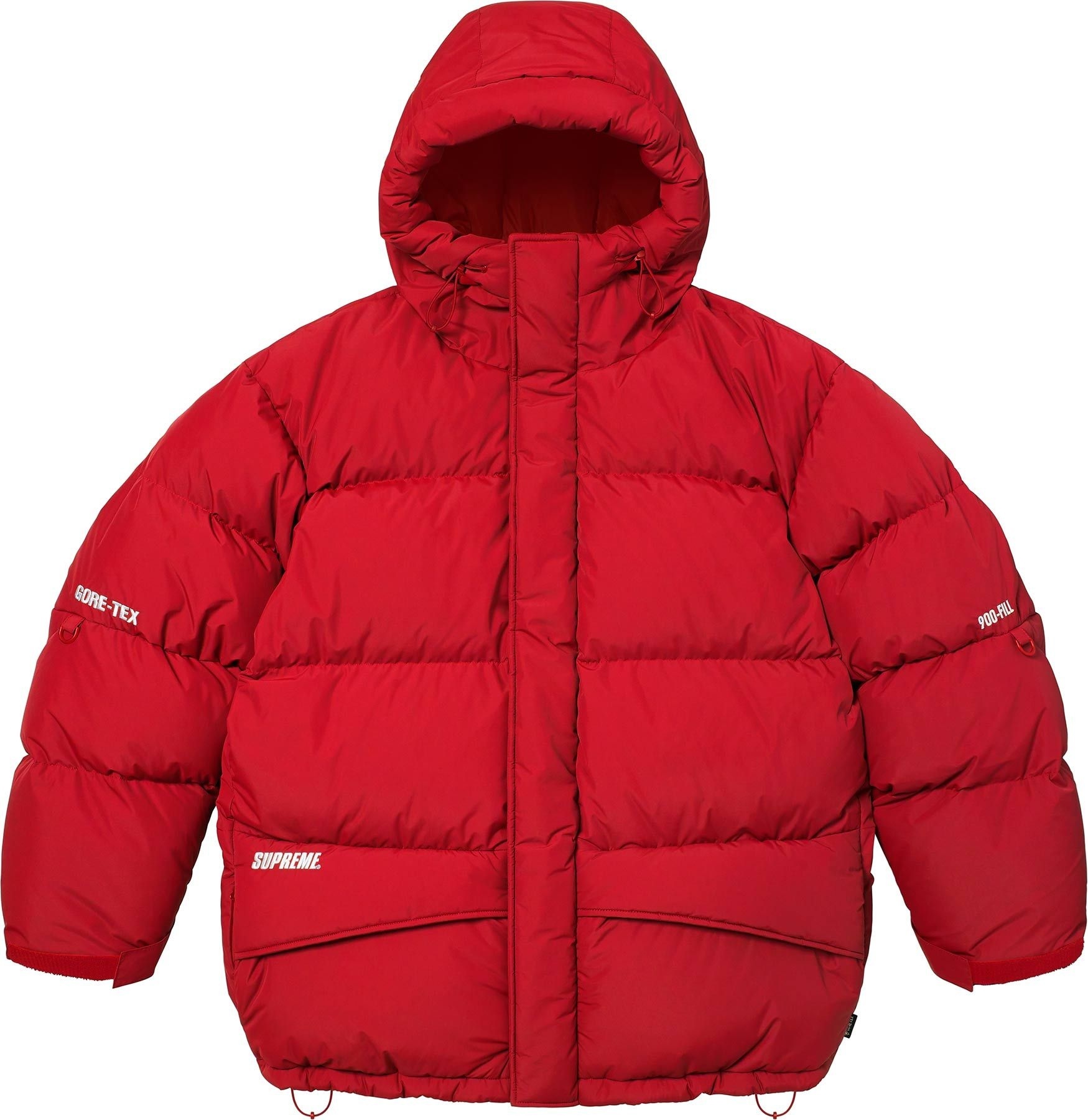 GORE-TEX 900-Fill Down Parka view 22